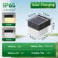 Solar LED Wall Light – Waterproof Exterior Garden & Courtyard Lighting
